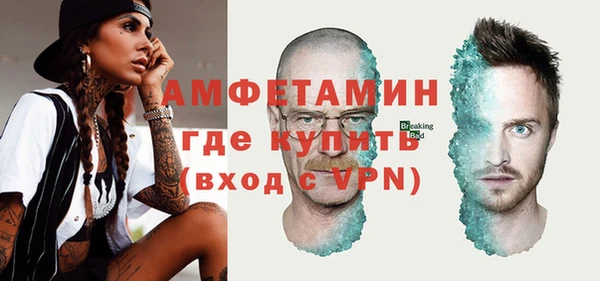 шишки Богородск