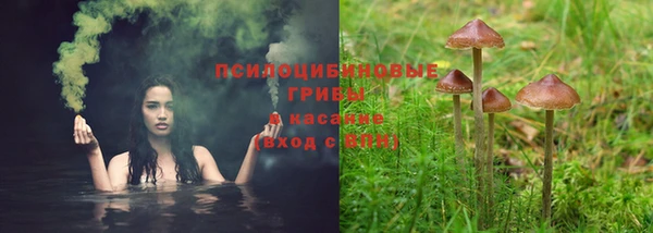 МДПВ Богородицк