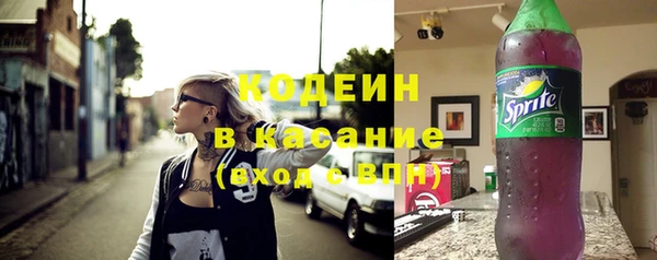 шишки Богородск