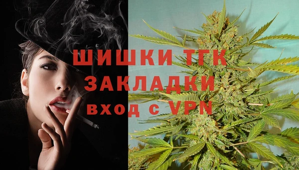 шишки Богородск