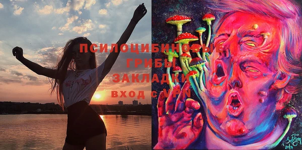 меф Белокуриха