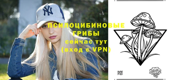 меф Белокуриха