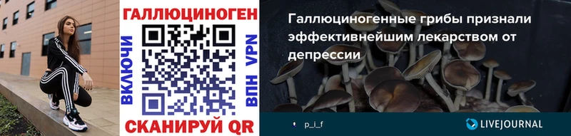 Галлюциногенные грибы мухоморы  Гаврилов-Ям 